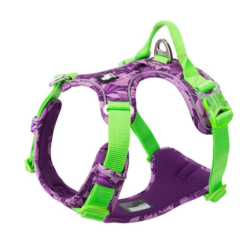 All-Purpose Dog Leash And Vest Set