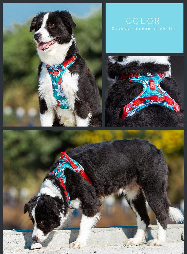 All-Purpose Dog Leash And Vest Set
